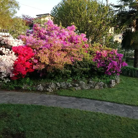 Villarosybeb 게스트하우스