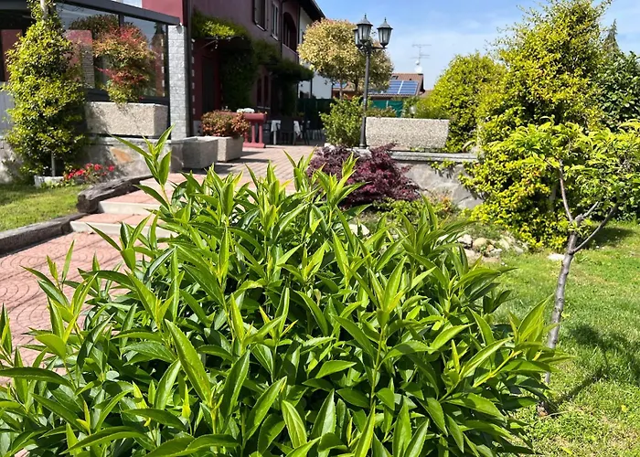 Villarosybeb Paruzzaro